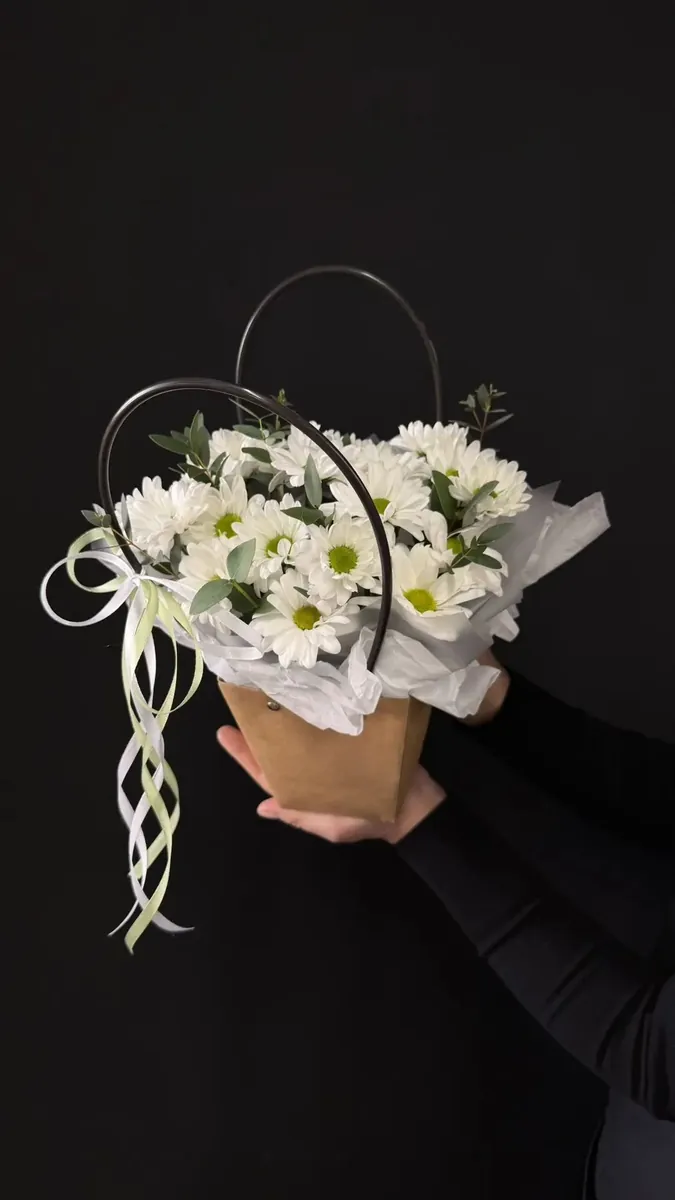 Молекула белого ритма