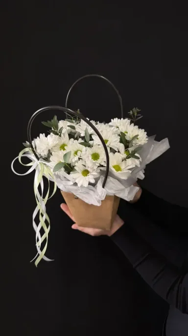 Молекула белого ритма