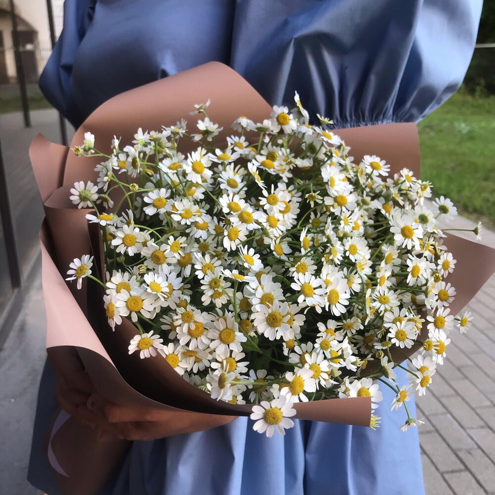Молекула ромашковых облаков — дополнительная фотография