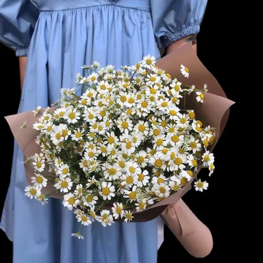 Молекула ромашковых облаков