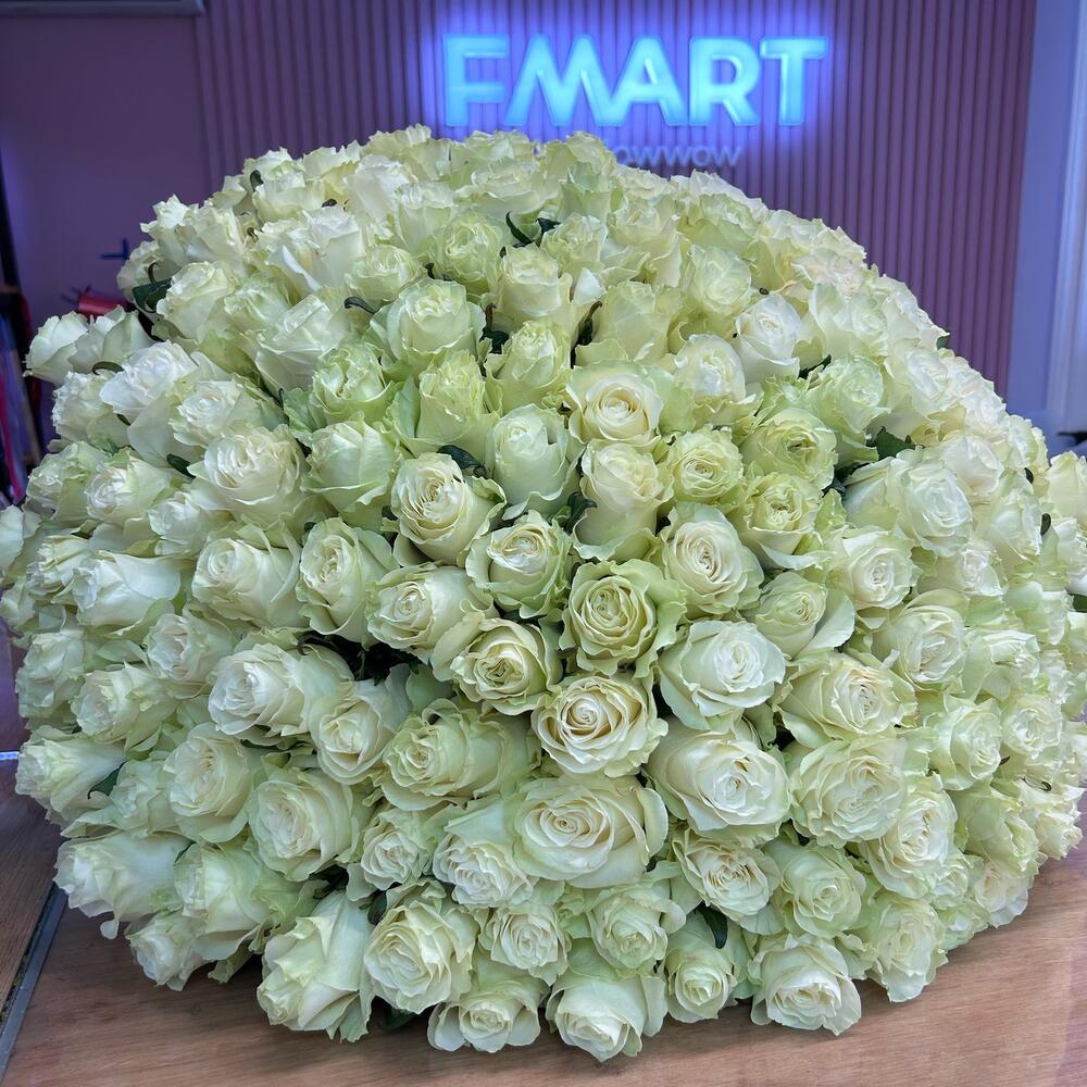 Молекула белого признания · 151 роза — дополнительная фотография