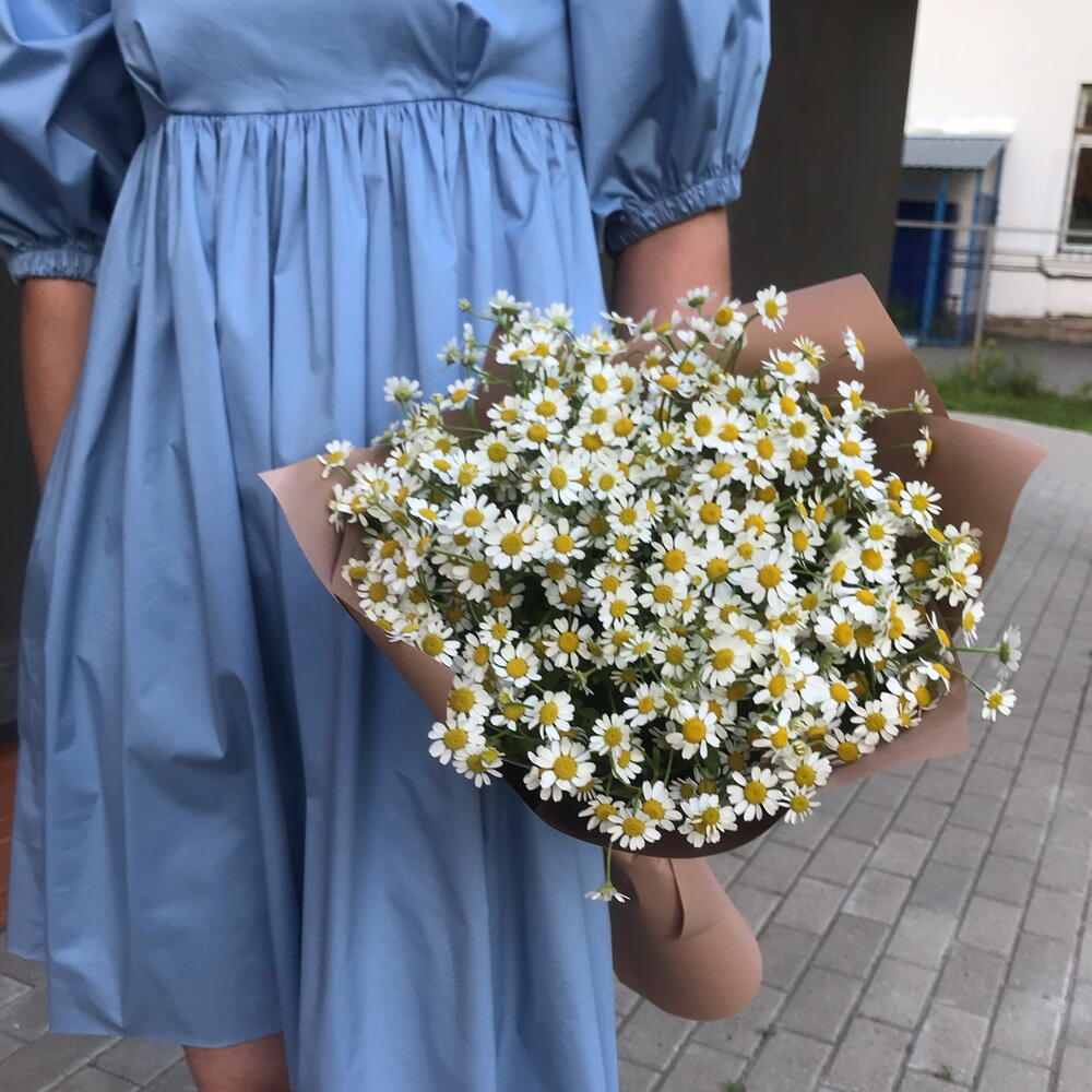 Молекула ромашковых облаков — дополнительная фотография