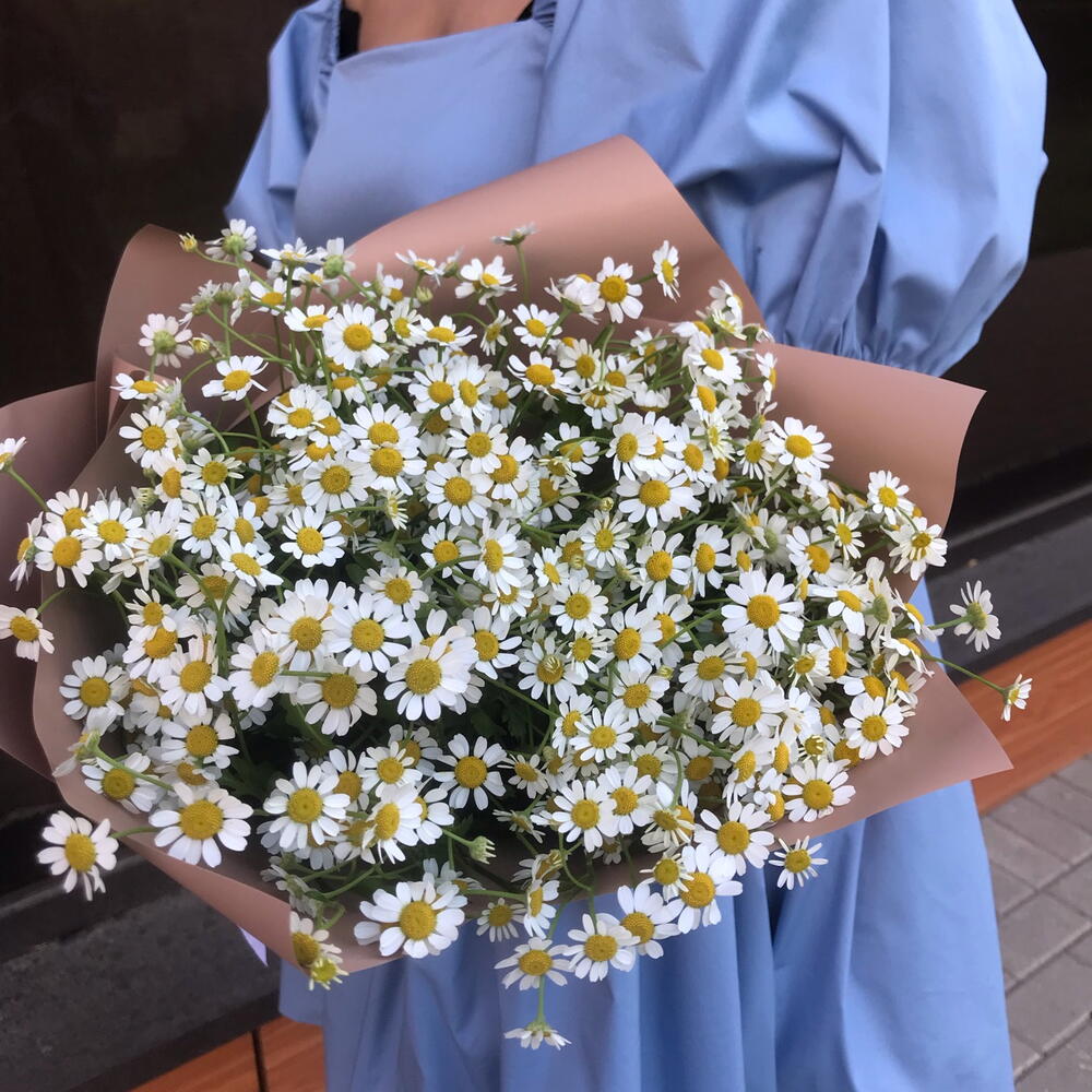 Молекула ромашковых облаков — дополнительная фотография