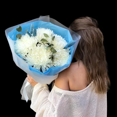 Молекула хризантем