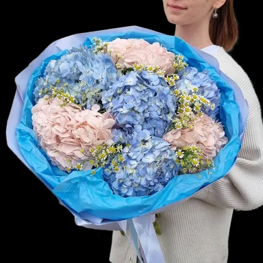 Молекула ромашкового облака