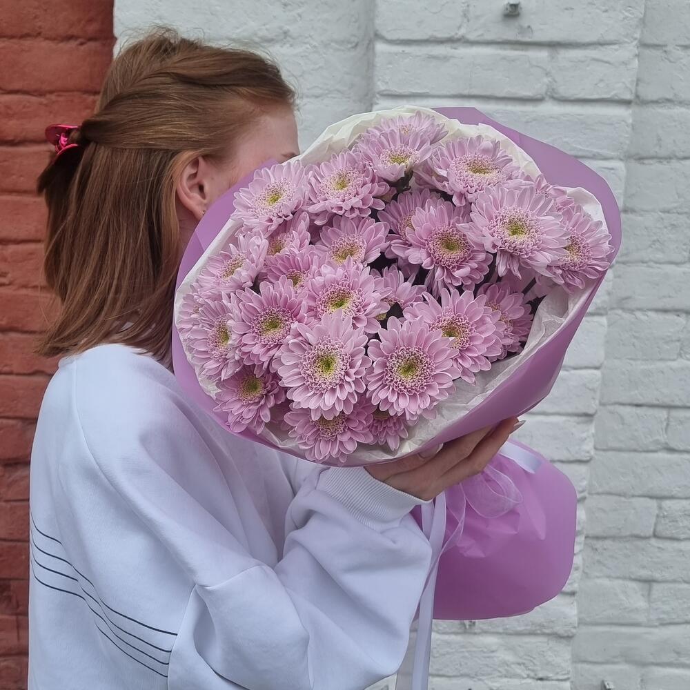 Молекула кустовых хризантем — дополнительная фотография