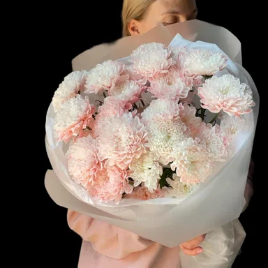 Молекула кустовых хризантем