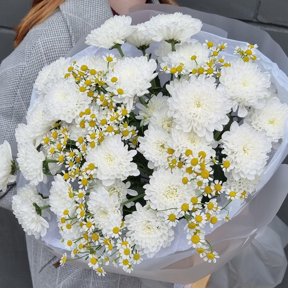Молекула ромашкового созвучия — дополнительная фотография