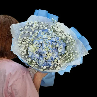 Молекула голубой дымки