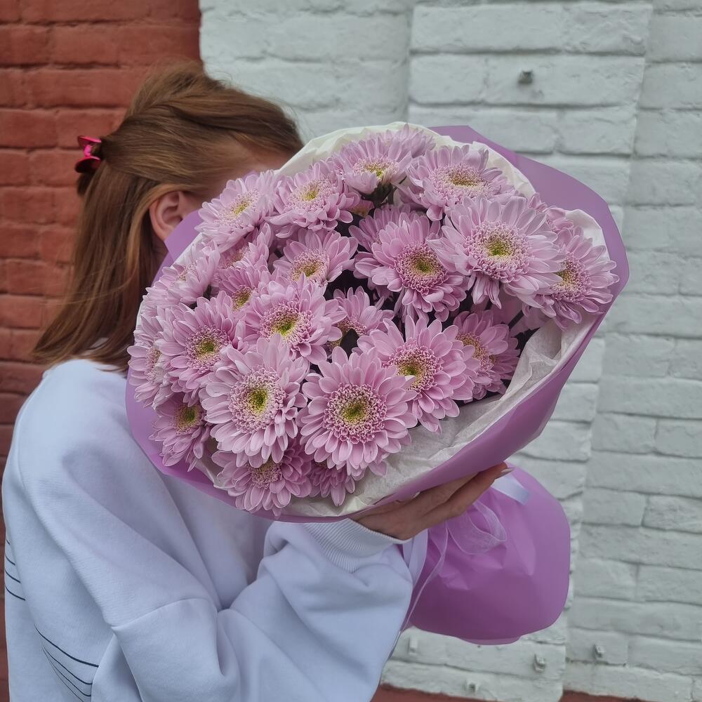 Молекула кустовых хризантем — дополнительная фотография