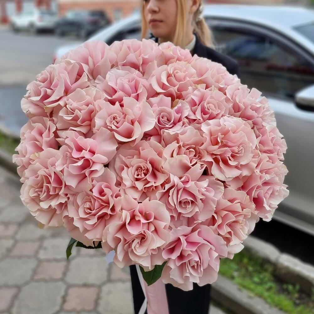Молекула французского совершенства — дополнительная фотография