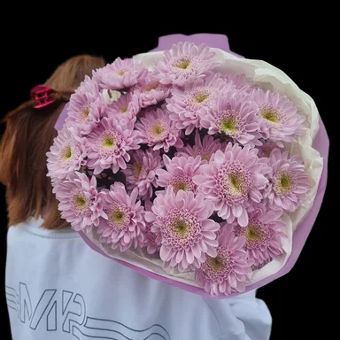 Молекула кустовых хризантем