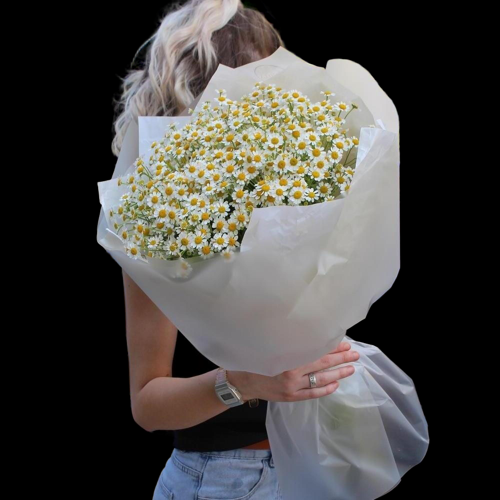 Молекула летних ромашек