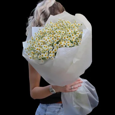 Молекула летних ромашек
