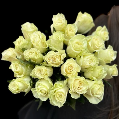 Молекула белого признания · 25 роз